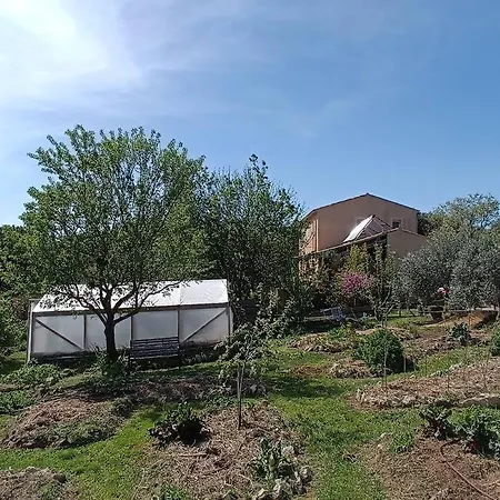Luberon Hébergement de vacances *